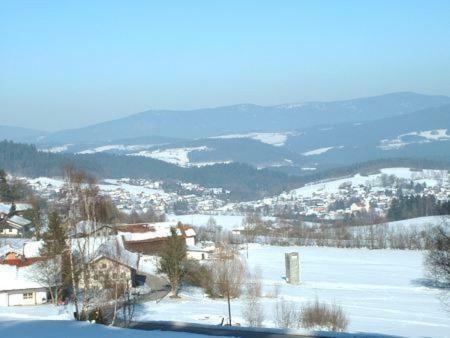 Haus Bergblick Bay. Wald Apartment Prackenbach Екстериор снимка
