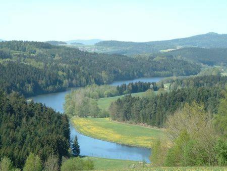 Haus Bergblick Bay. Wald Apartment Prackenbach Екстериор снимка