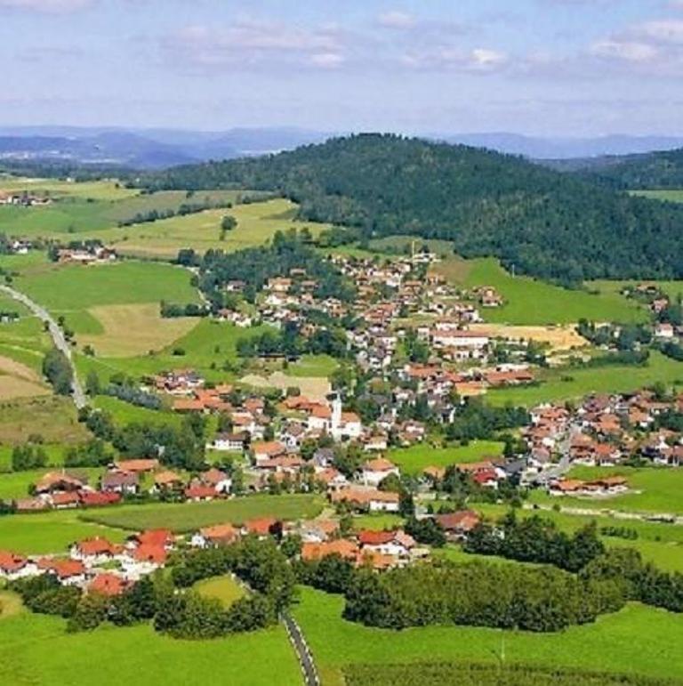 Haus Bergblick Bay. Wald Apartment Prackenbach Екстериор снимка
